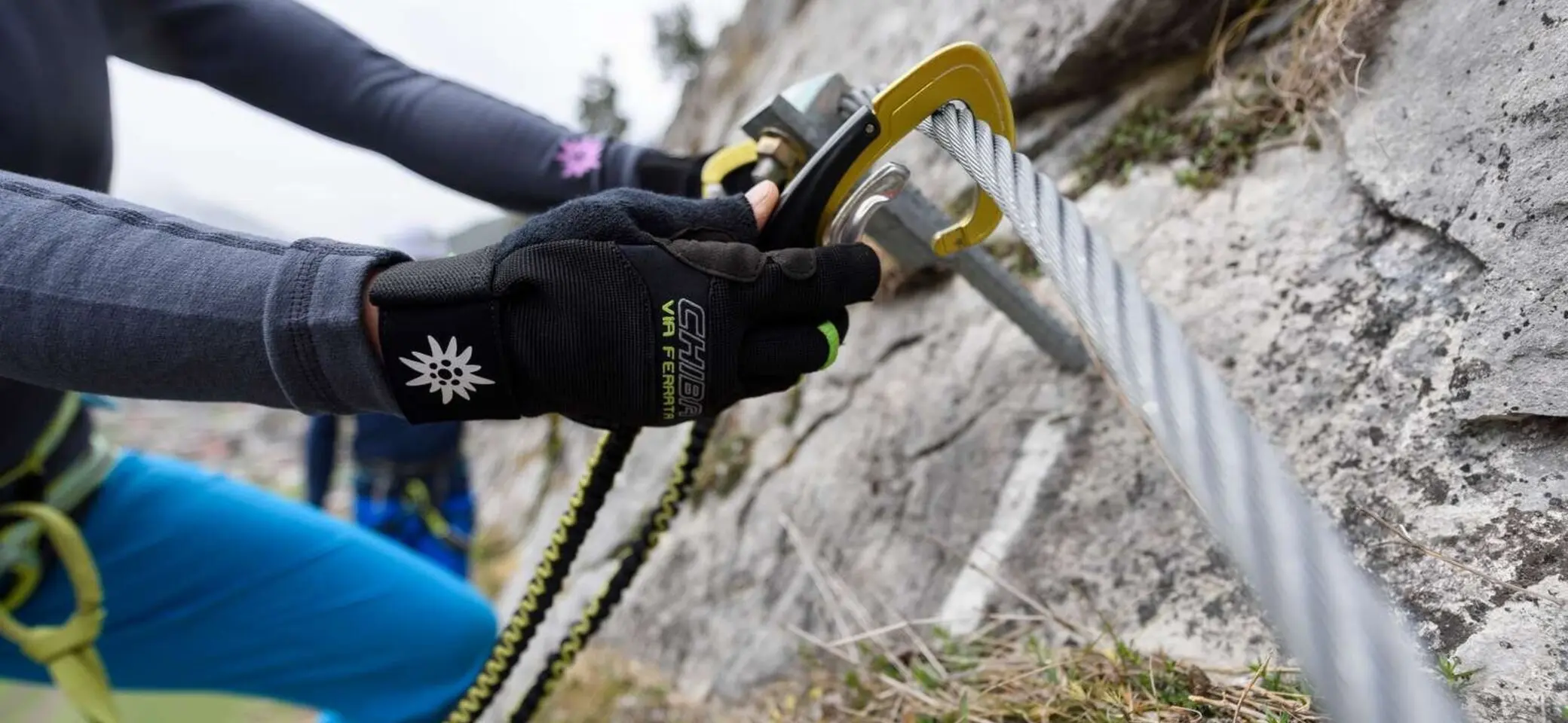 WEhn 147861 | © WEhn 147861