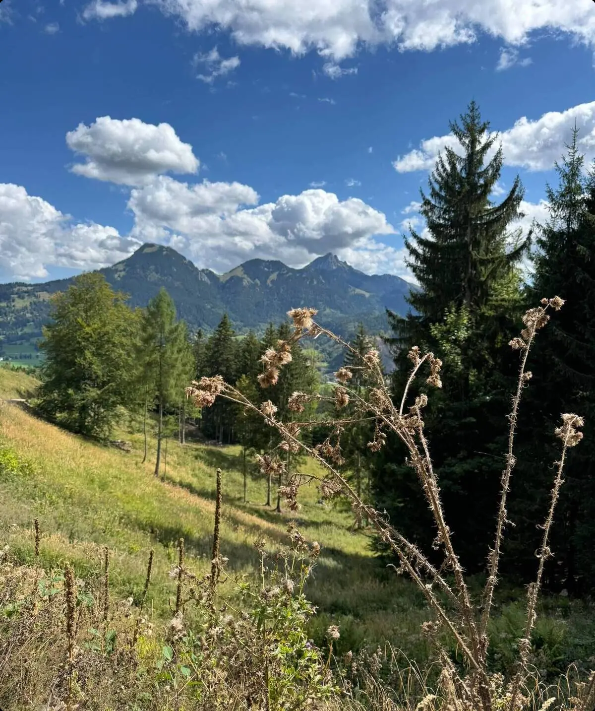 Spitzingsee | © Schlappinger Anna