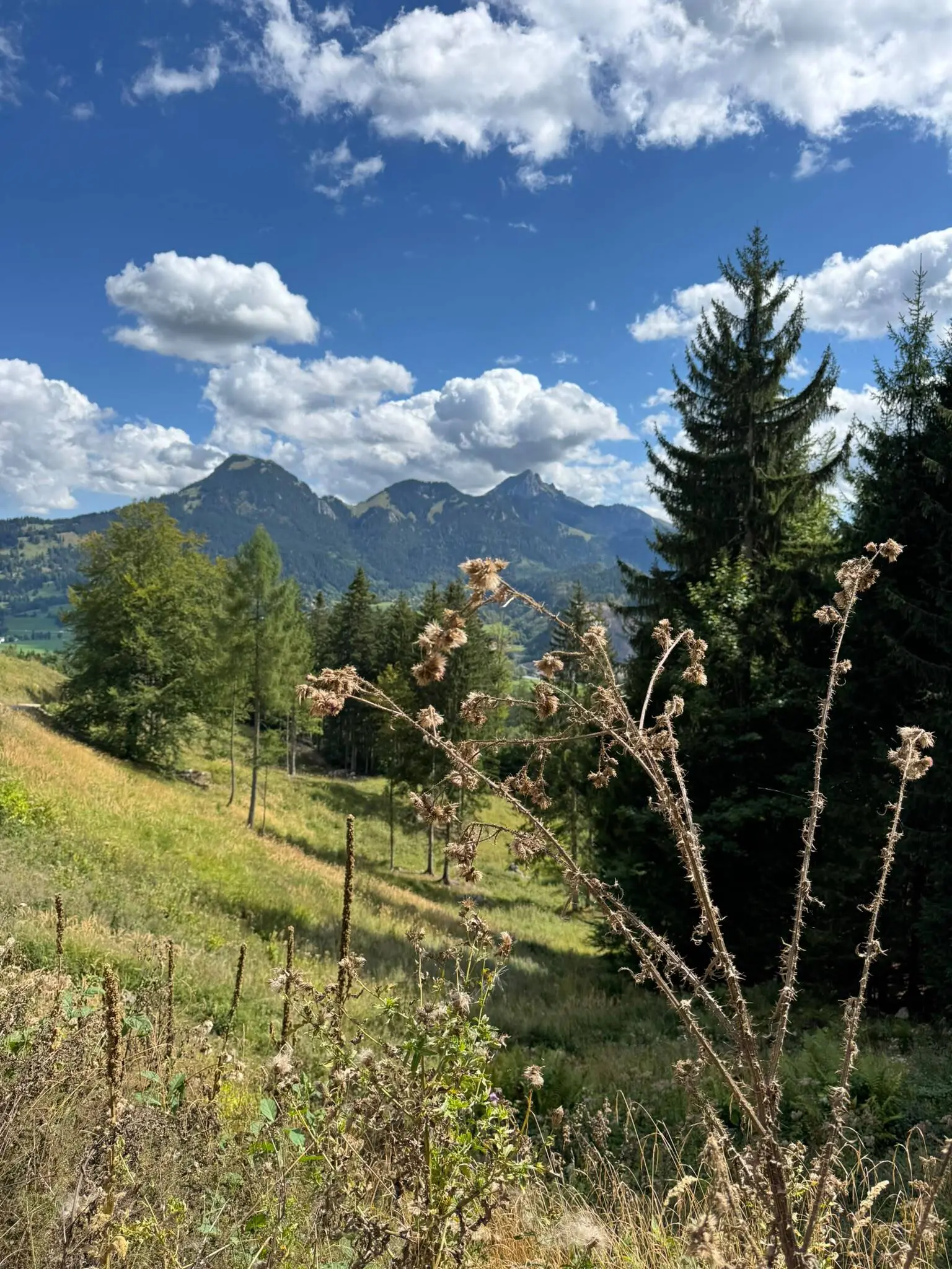 Spitzingsee | © Schlappinger Anna