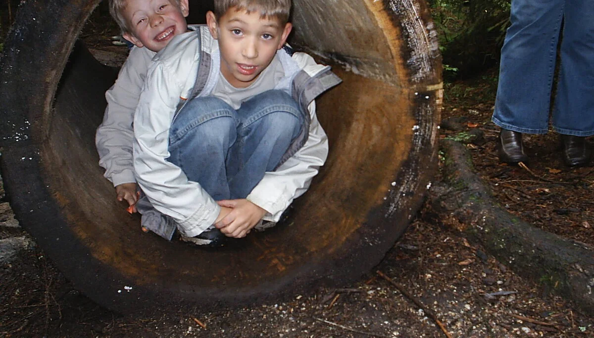 Naturerlebnispfad Spiegelau | © Dambeck Michaela