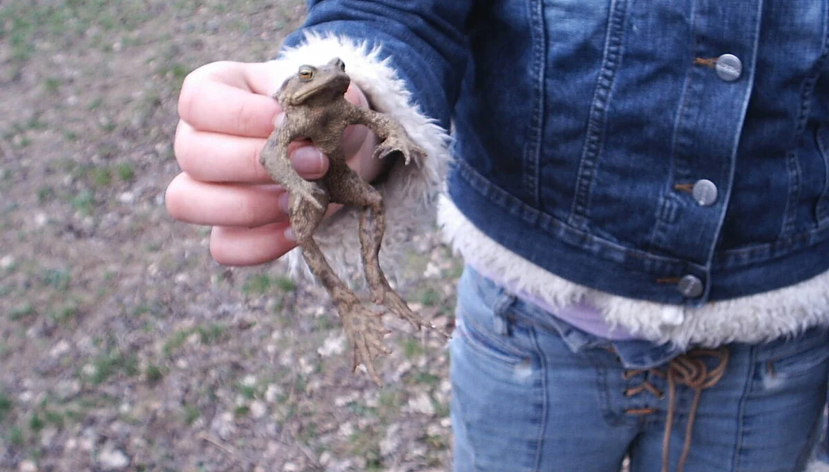 Eine gute Tat | © Dambeck Michaela