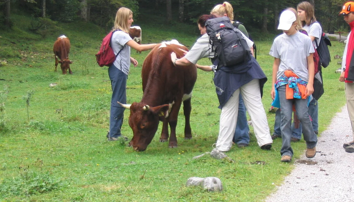 Ausflug auf den Hirschbichl | © Dambeck Michaela