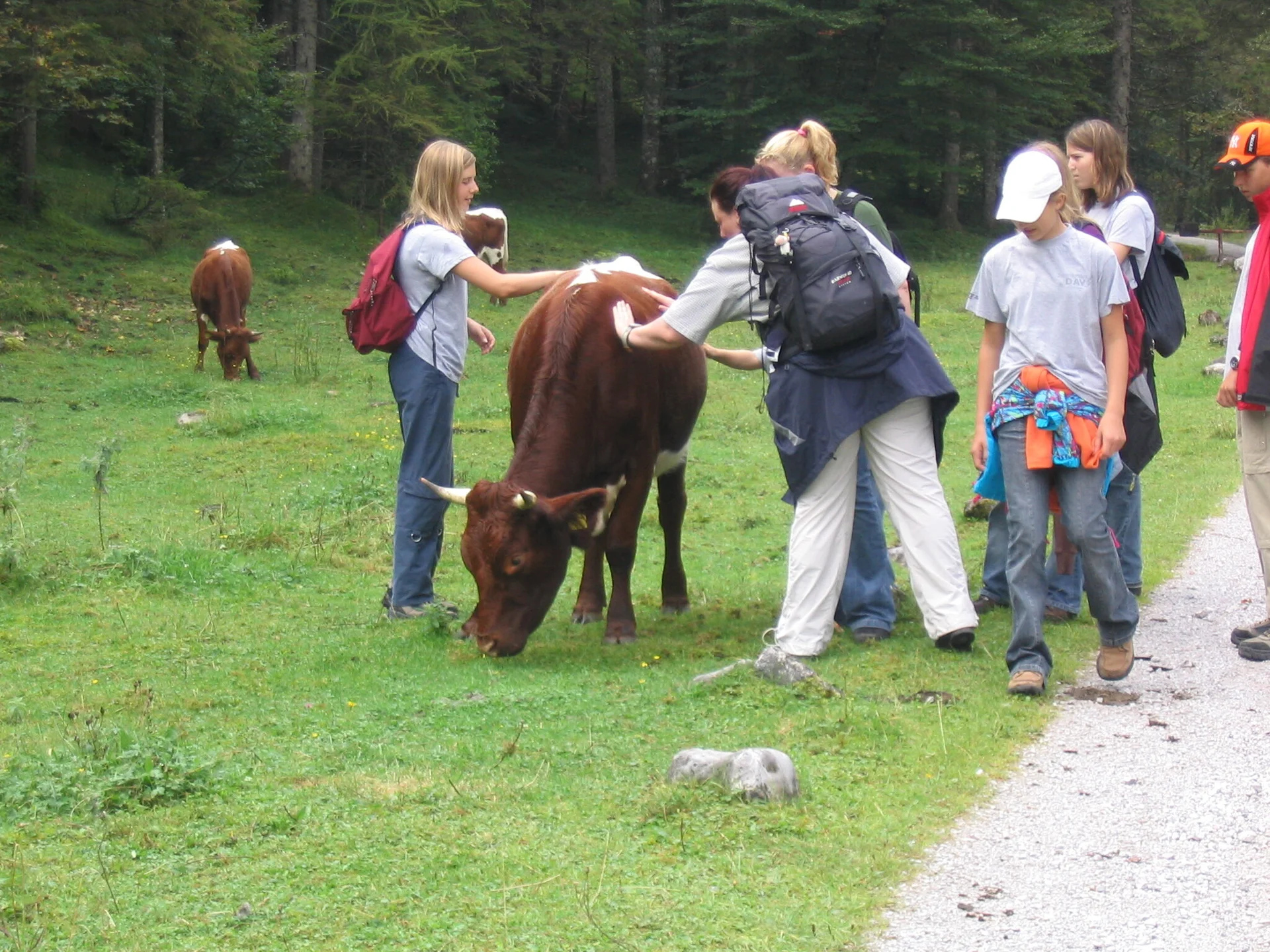 Ausflug auf den Hirschbichl | © Dambeck Michaela