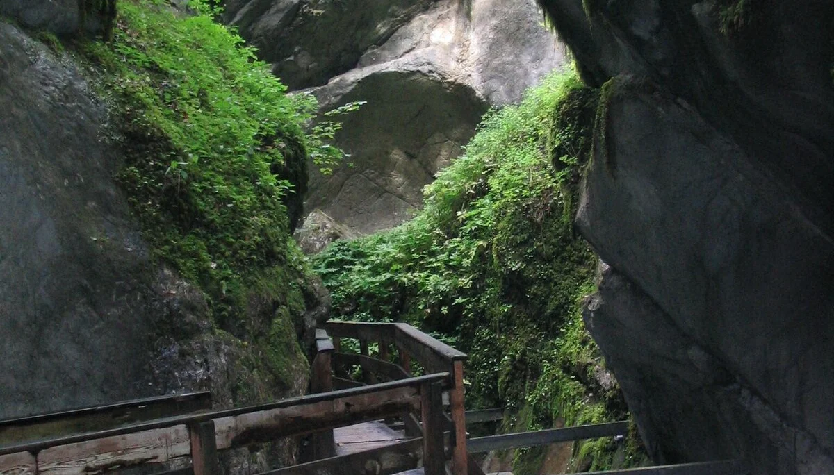 Ausflug auf den Hirschbichl | © Dambeck Michaela