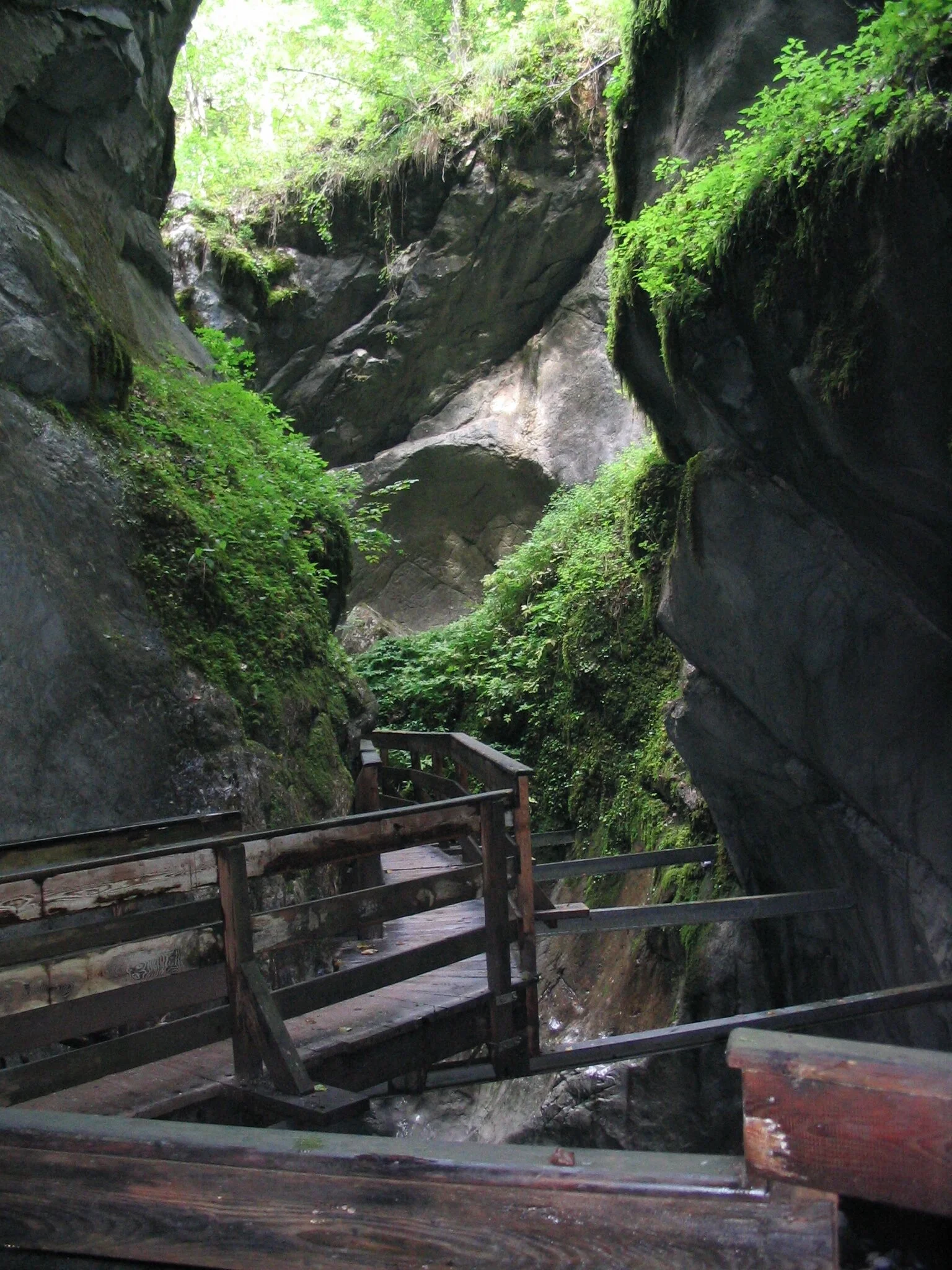 Ausflug auf den Hirschbichl | © Dambeck Michaela