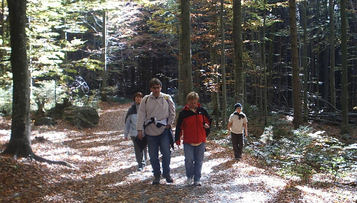 Familienausflug in den Bayerischen Wald | © Dambeck Michaela