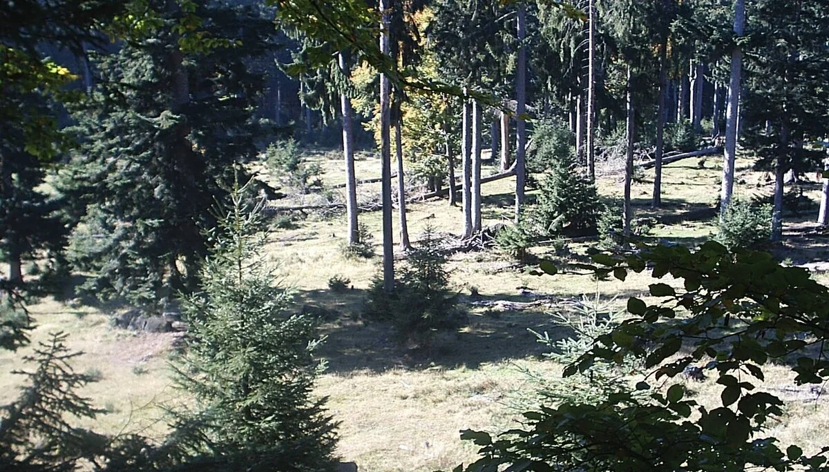 Familienausflug in den Bayerischen Wald | © Dambeck Michaela