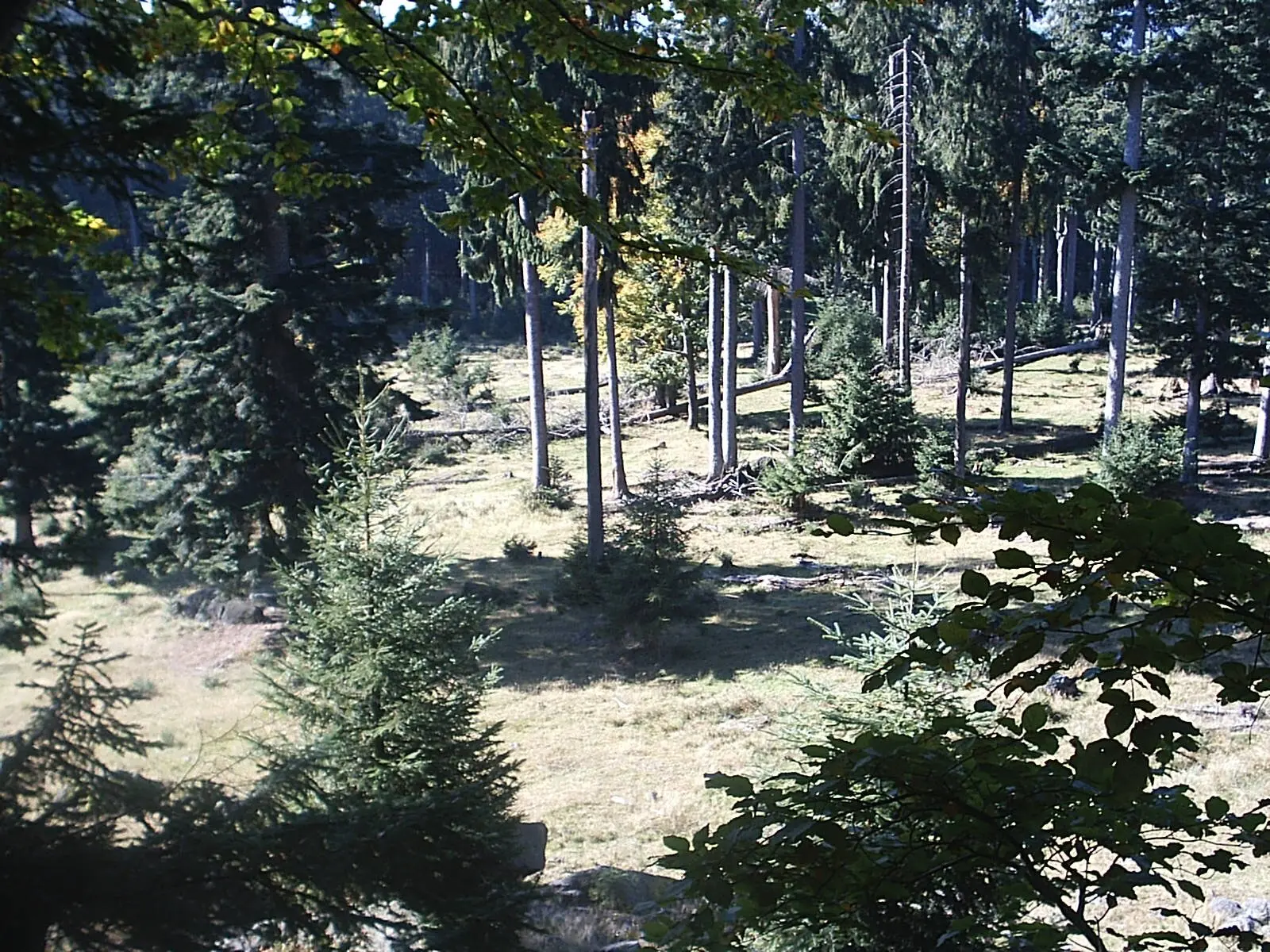 Familienausflug in den Bayerischen Wald | © Dambeck Michaela