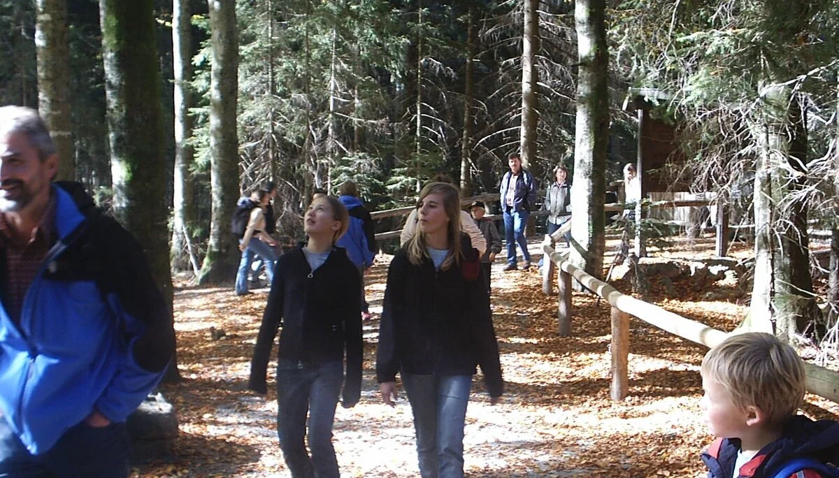 Familienausflug in den Bayerischen Wald | © Dambeck Michaela