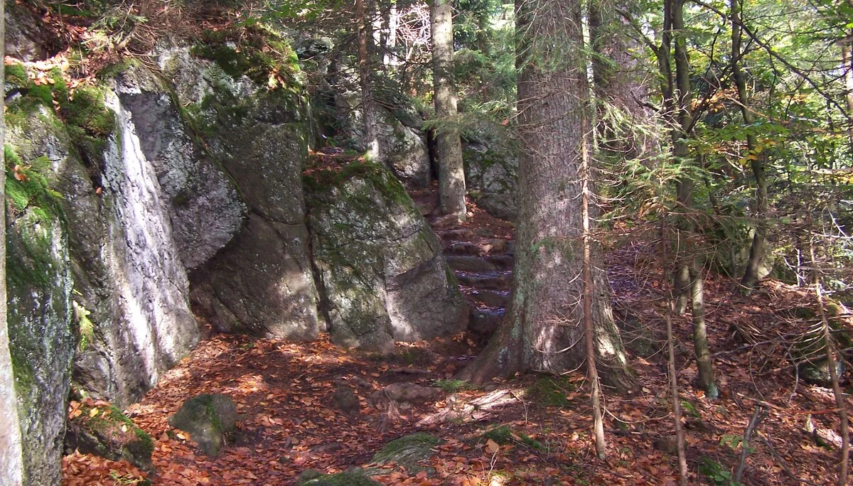 Familienausflug in den Bayerischen Wald | © Dambeck Micheala