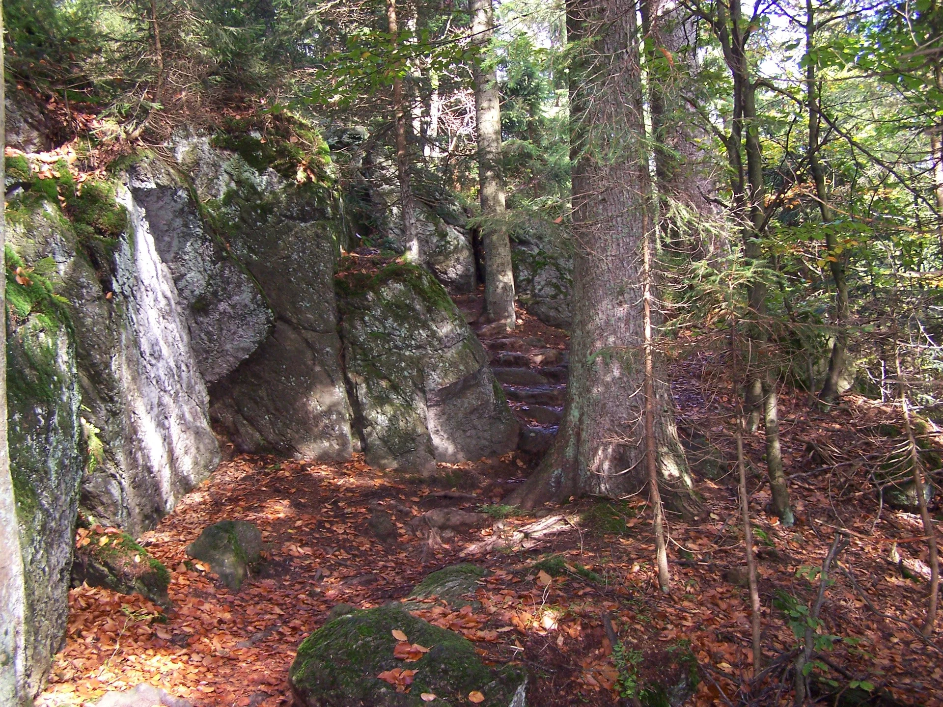 Familienausflug in den Bayerischen Wald | © Dambeck Micheala