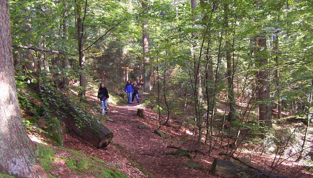 Familienausflug in den Bayerischen Wald | © Dambeck Micheala