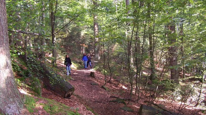 Familienausflug in den Bayerischen Wald | © Dambeck Micheala