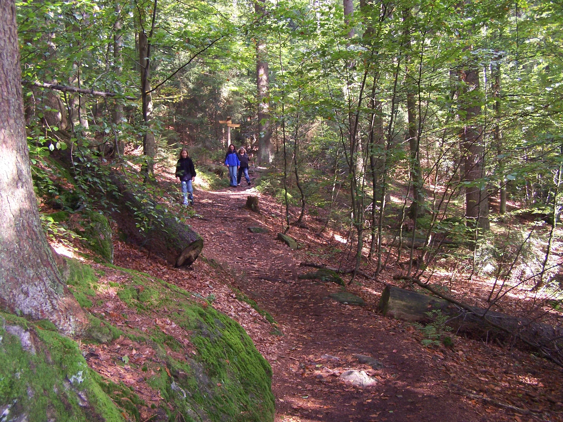 Familienausflug in den Bayerischen Wald | © Dambeck Micheala