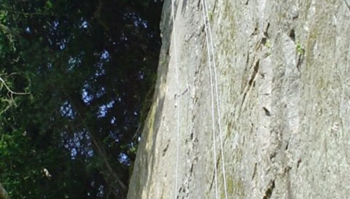 Klettergartenfahrten in den Klettergarten Metten | © Denk Alexander