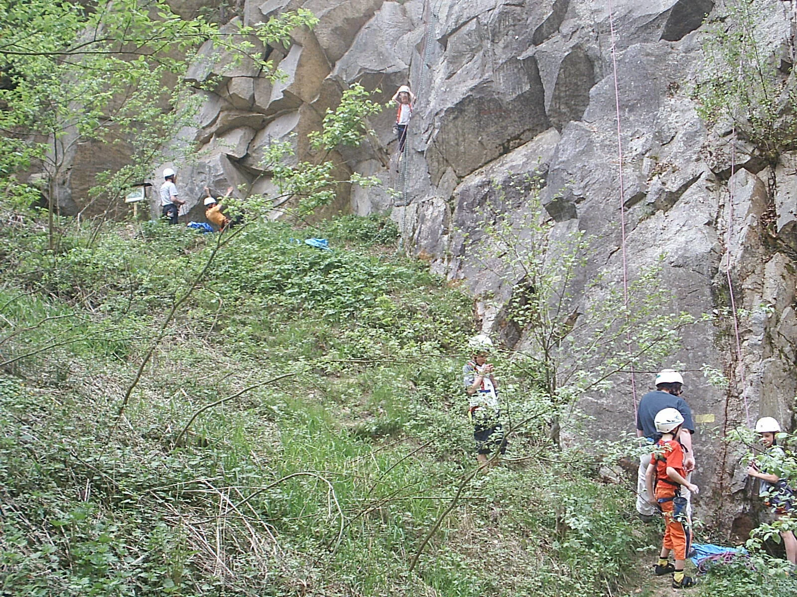 Klettergartenfahrten in den Klettergarten Metten | © Denk Alexander