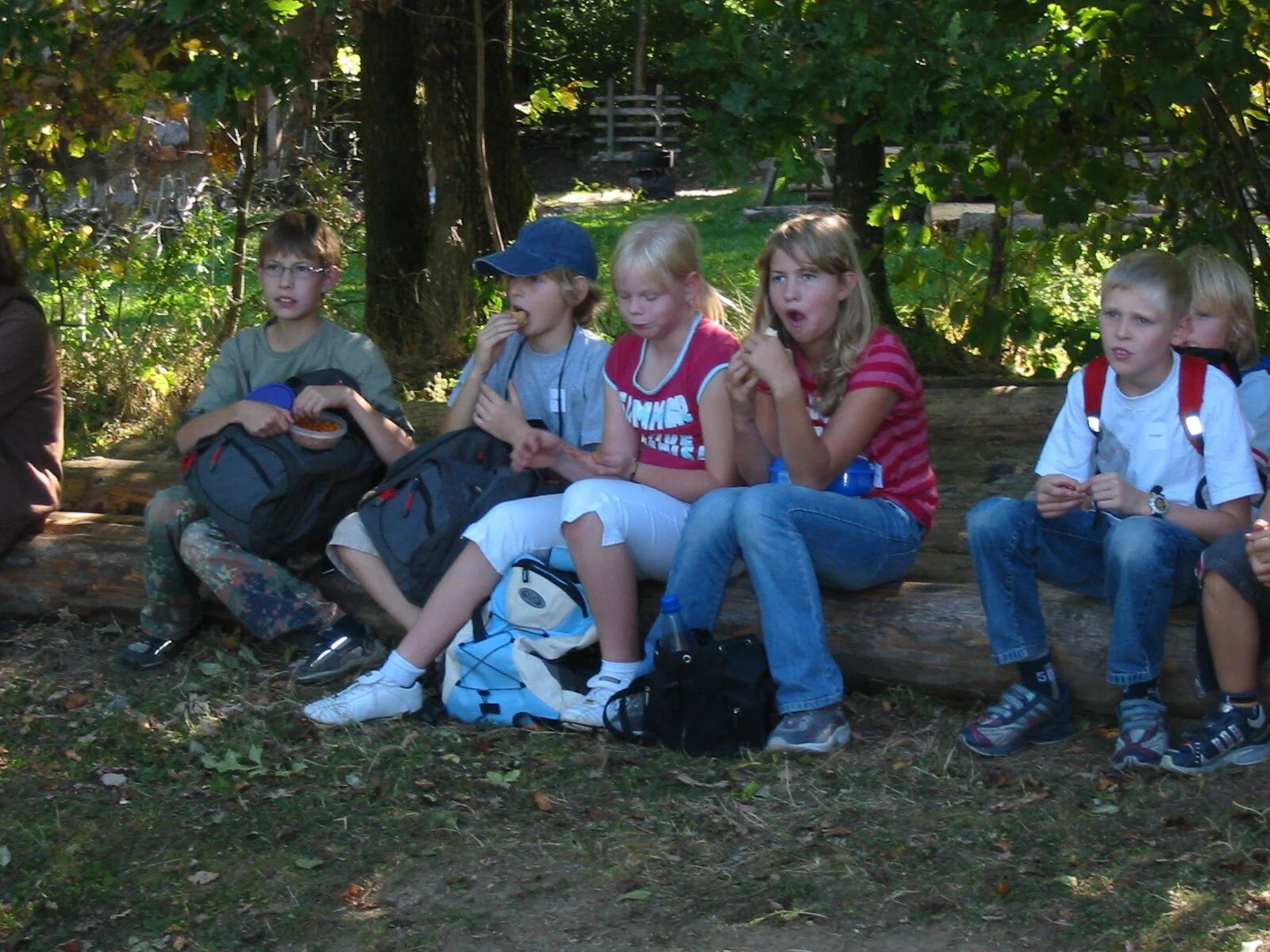 Keltendorf Gabreta und Wackelstein | © Dambeck Micheala