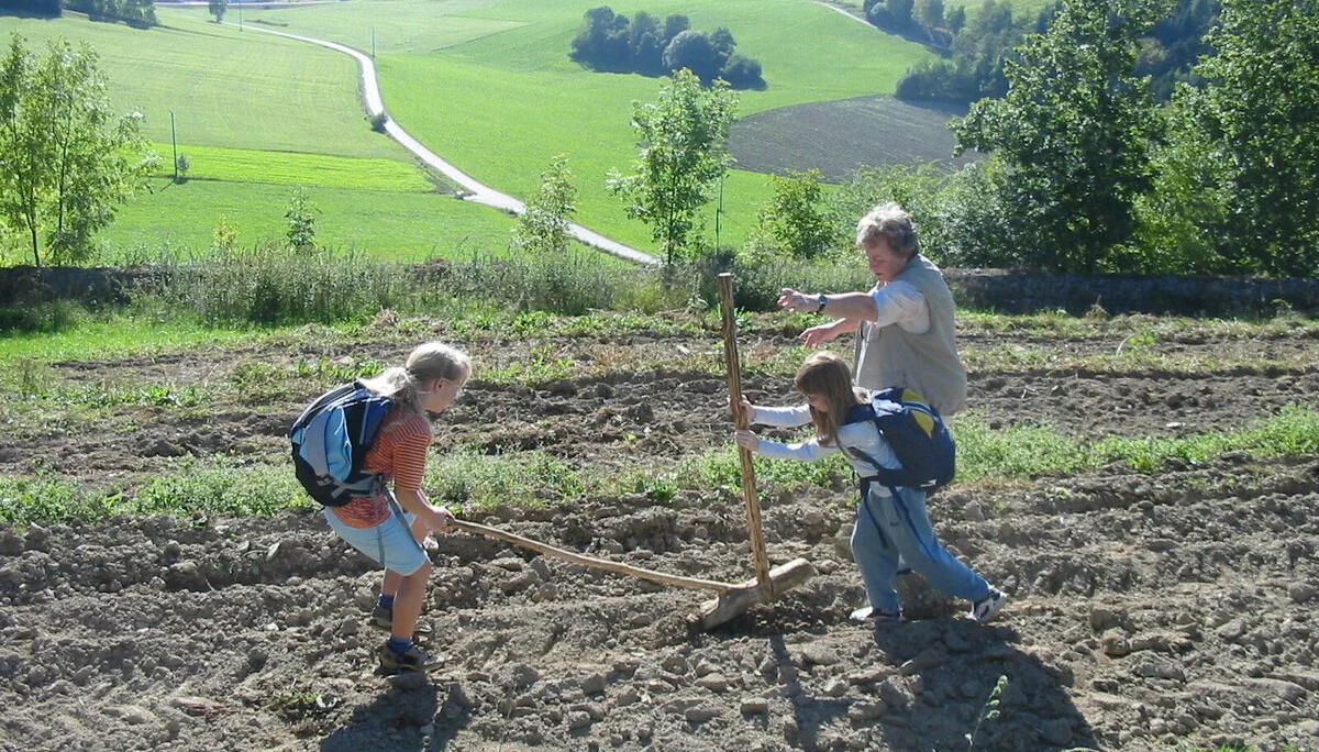 Keltendorf Gabreta und Wackelstein | © Dambeck Micheala