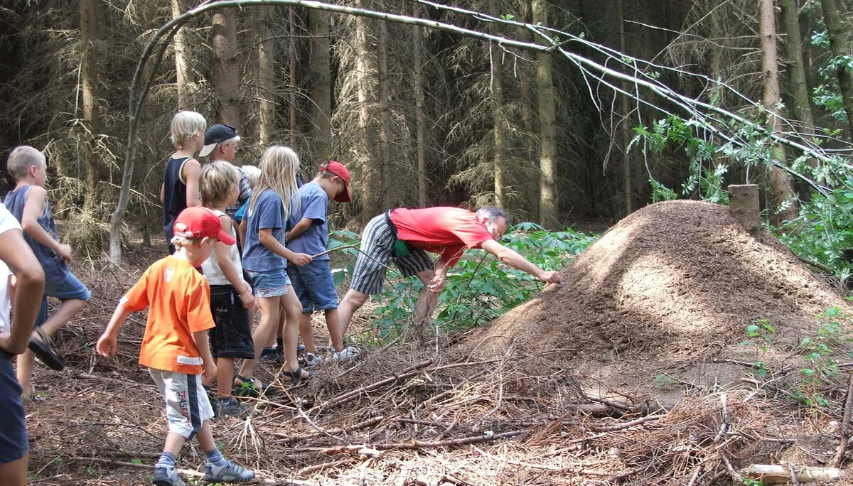 Zeltlager war ein voller Erfolg | © Dambeck Michaela