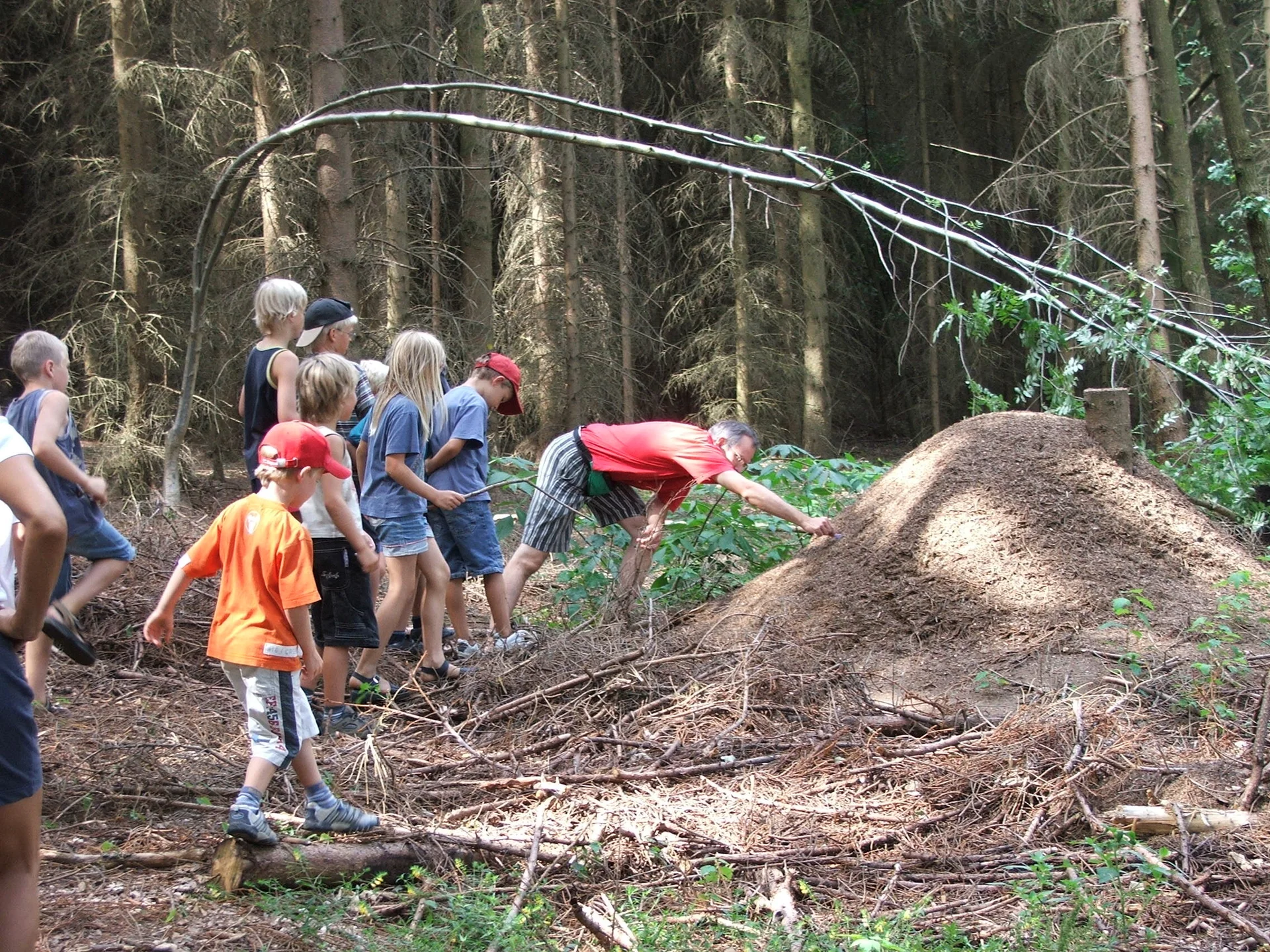 Zeltlager war ein voller Erfolg | © Dambeck Michaela