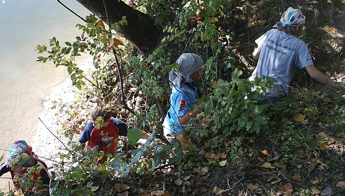 JDAV-Donaupiraten entdeckten die Donauinsel | © Dambeck Micheala