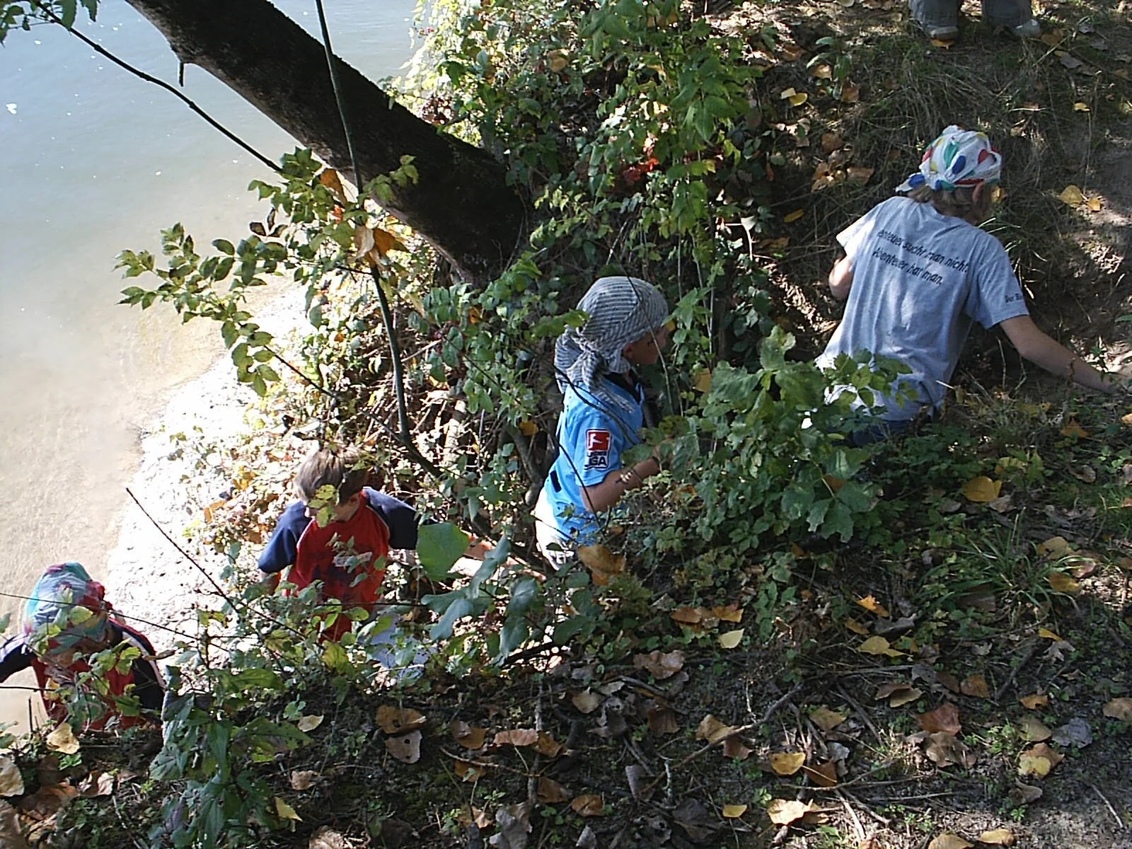 JDAV-Donaupiraten entdeckten die Donauinsel | © Dambeck Micheala