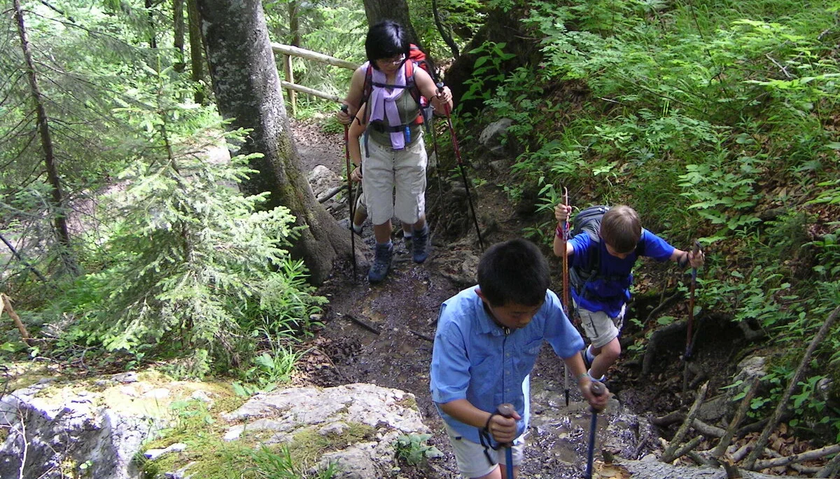 Wandertour auf die Hörndlwand | © Widl Konrad