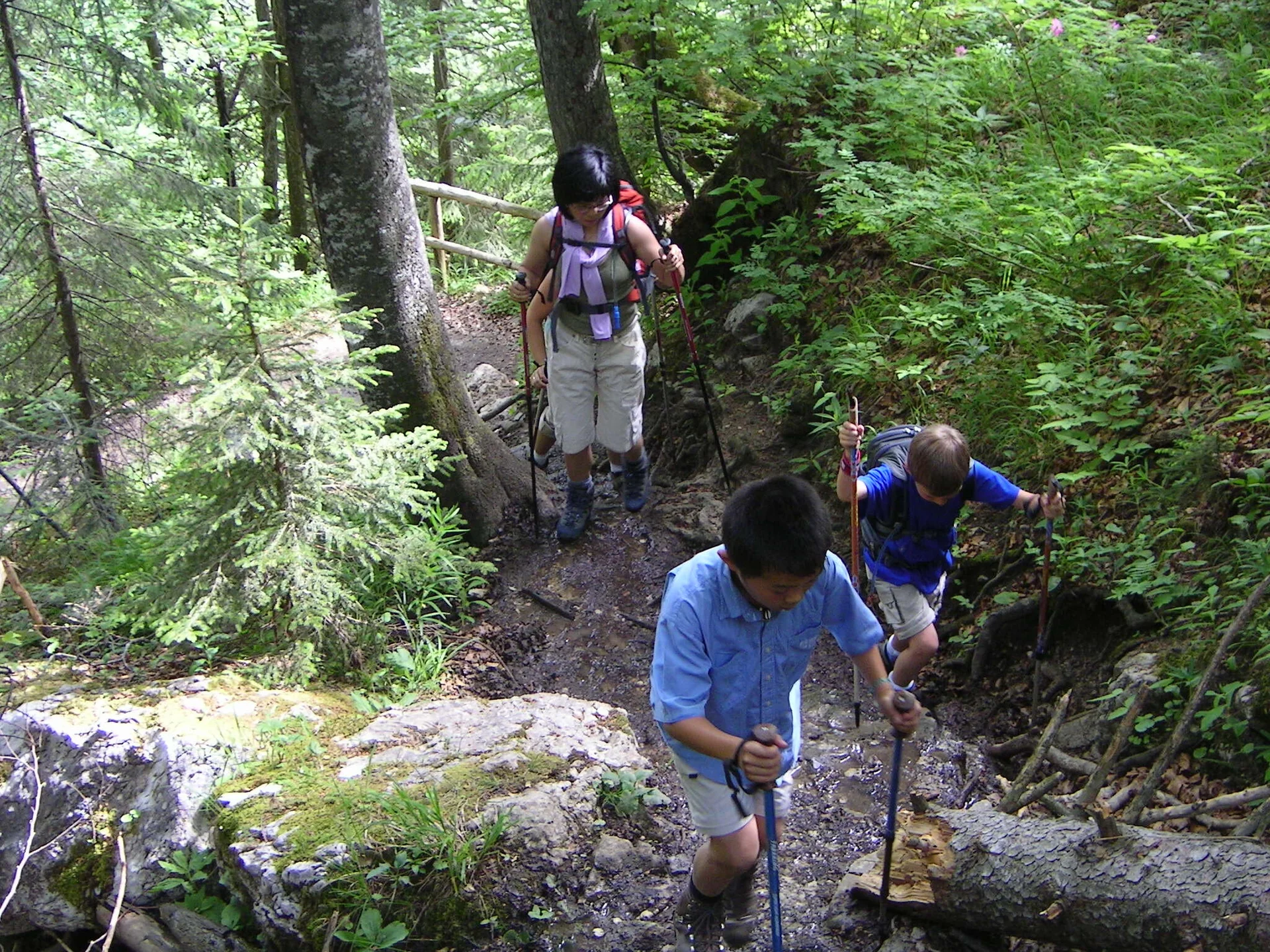 Wandertour auf die Hörndlwand | © Widl Konrad
