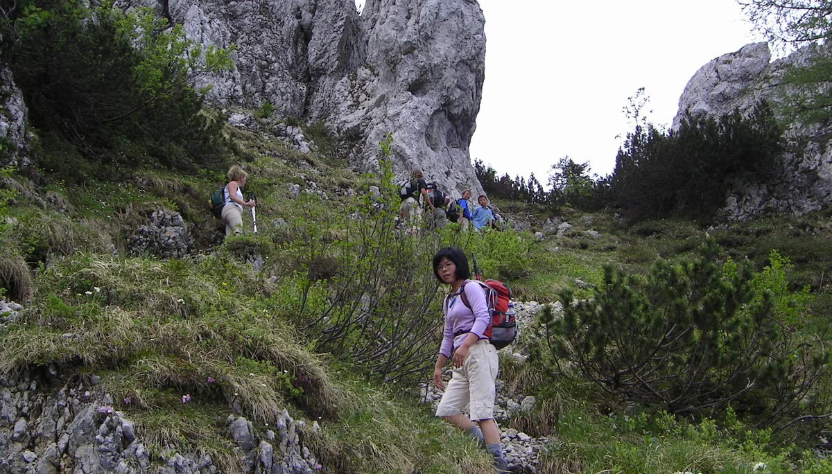 Wandertour auf die Hörndlwand | © Widl Konrad