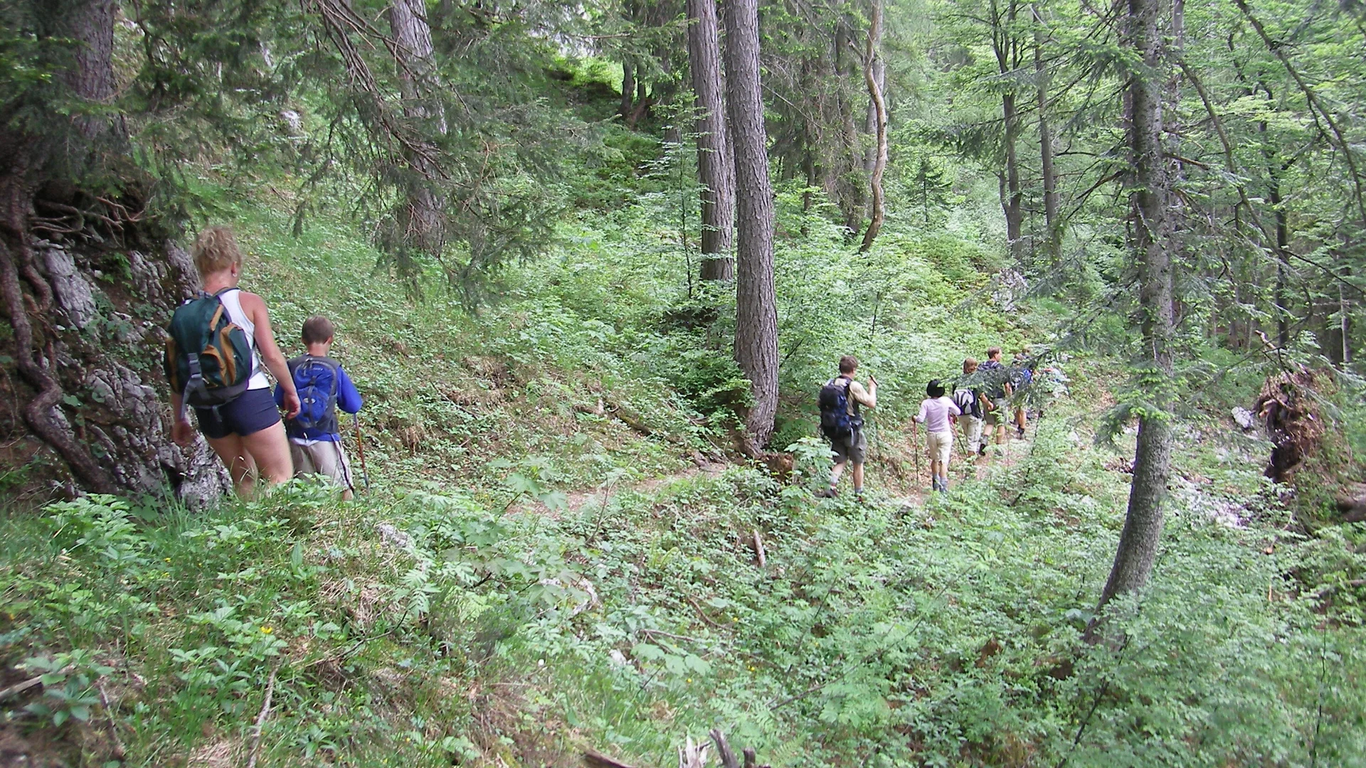 Wandertour auf die Hörndlwand | © Widl Konrad