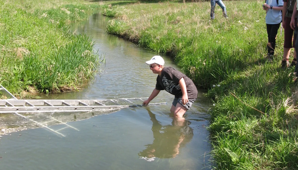 Abenteuerwanderung im Gottfriedinger Gries | © Widl Konrad