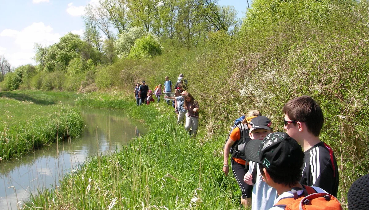 Abenteuerwanderung im Gottfriedinger Gries | © Widl Konrad
