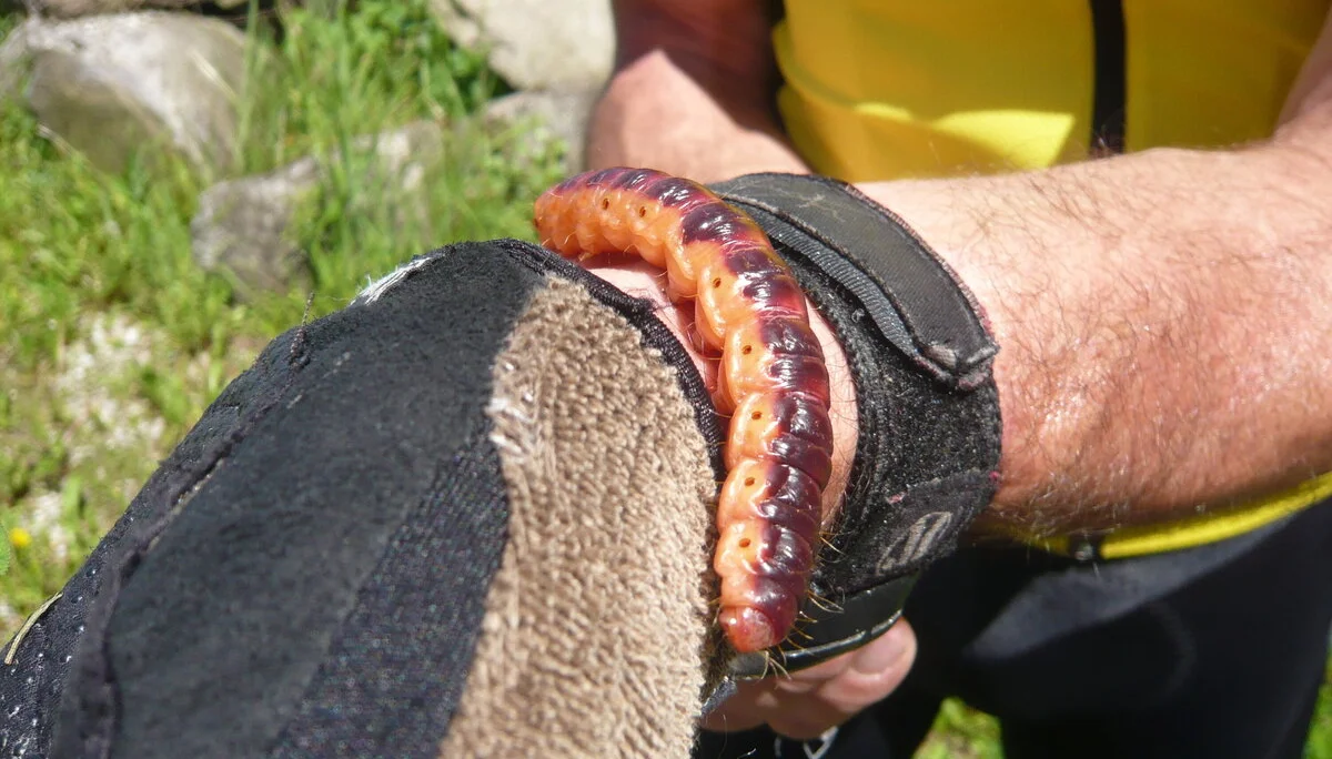 Mountainbike in den Isarhangleiten | © Drexler Magarete