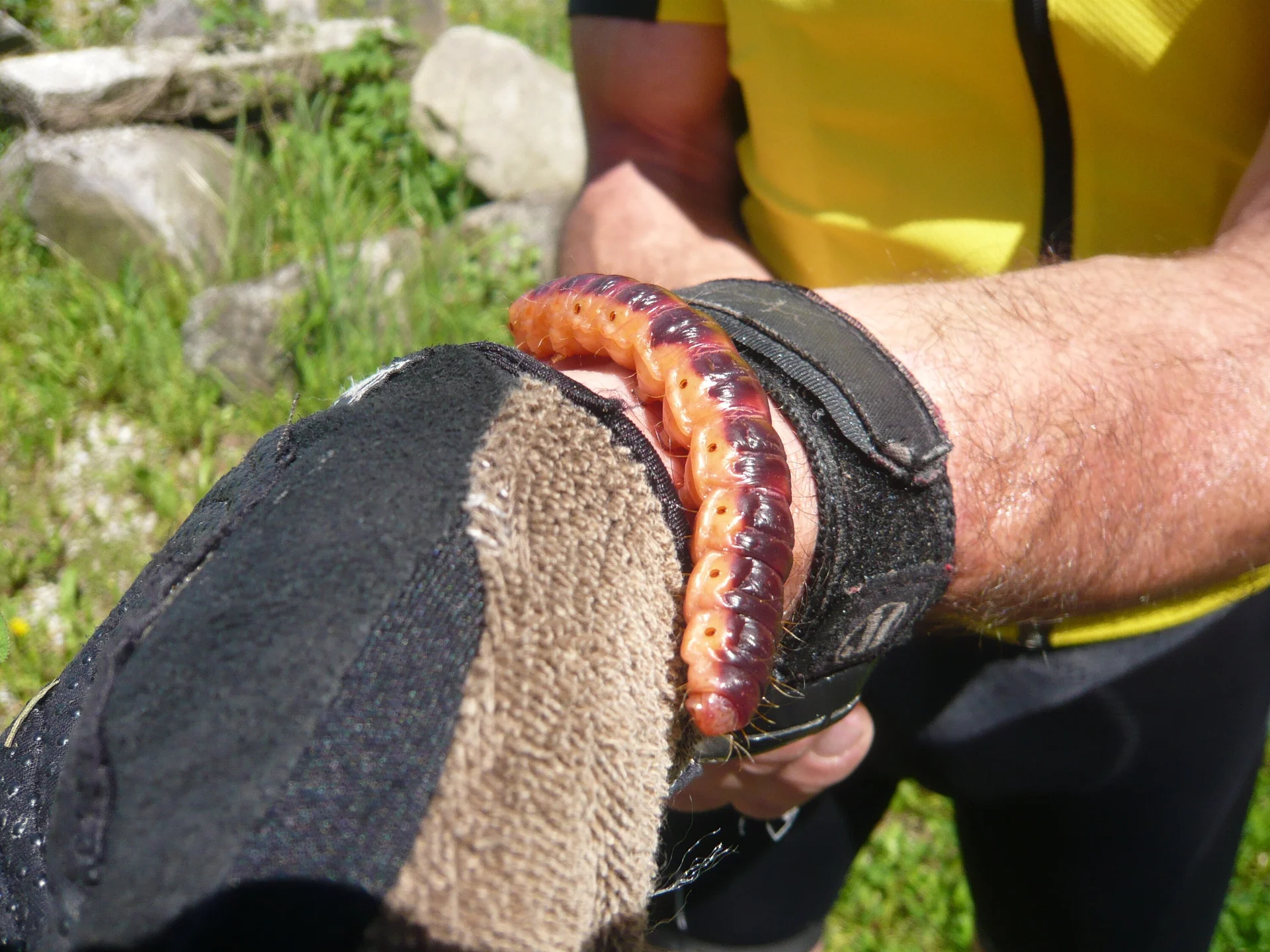 Mountainbike in den Isarhangleiten | © Drexler Magarete