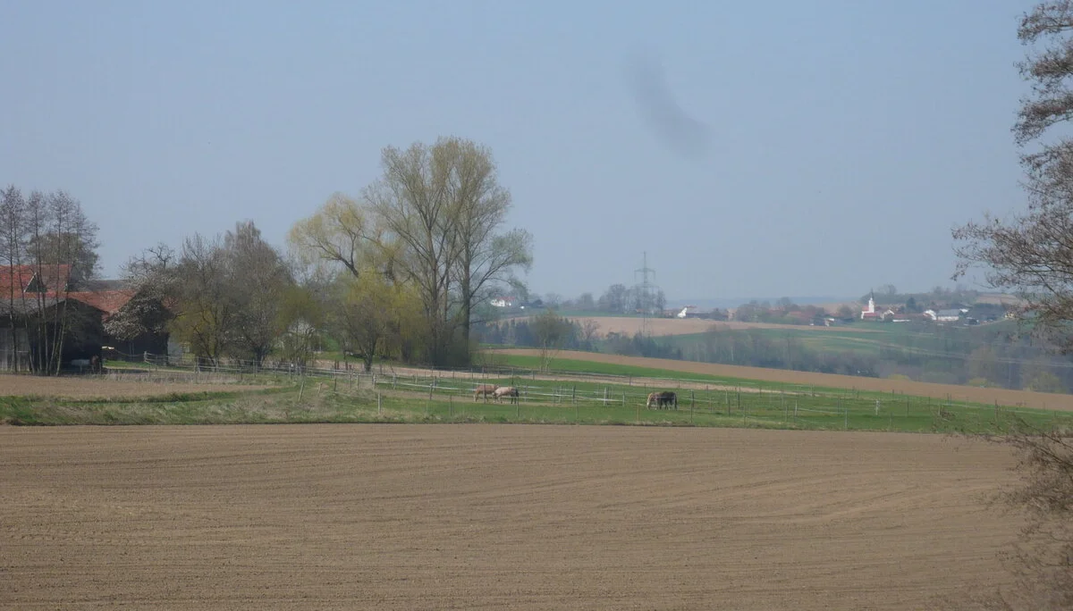 Mit dem Mountainbike unterwegs | © Drexler Magarete