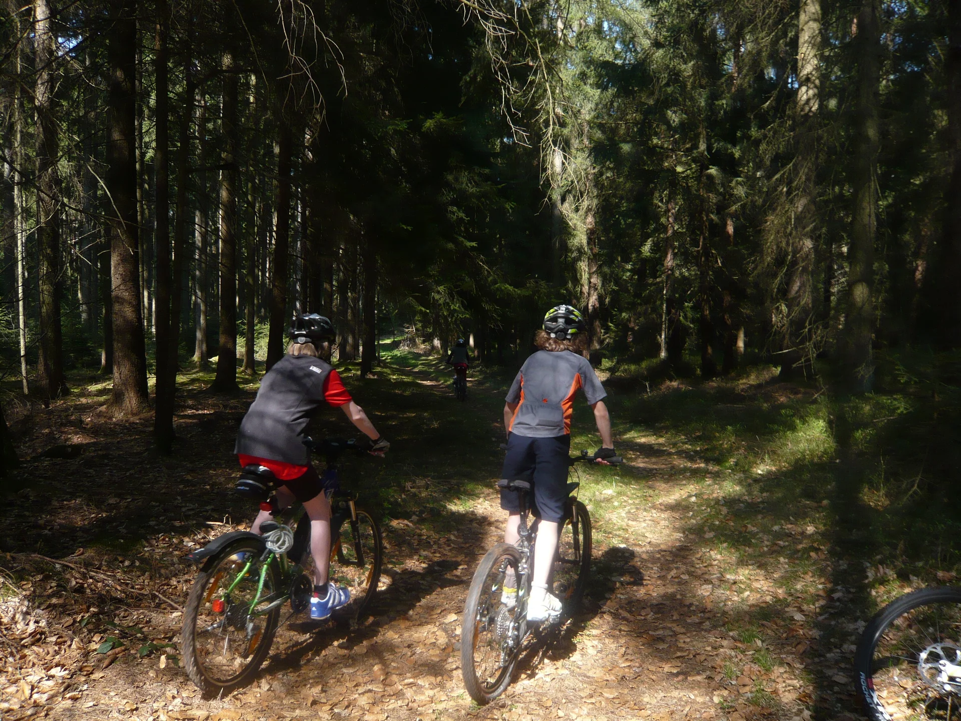 Mit dem Mountainbike unterwegs | © Drexler Magarete