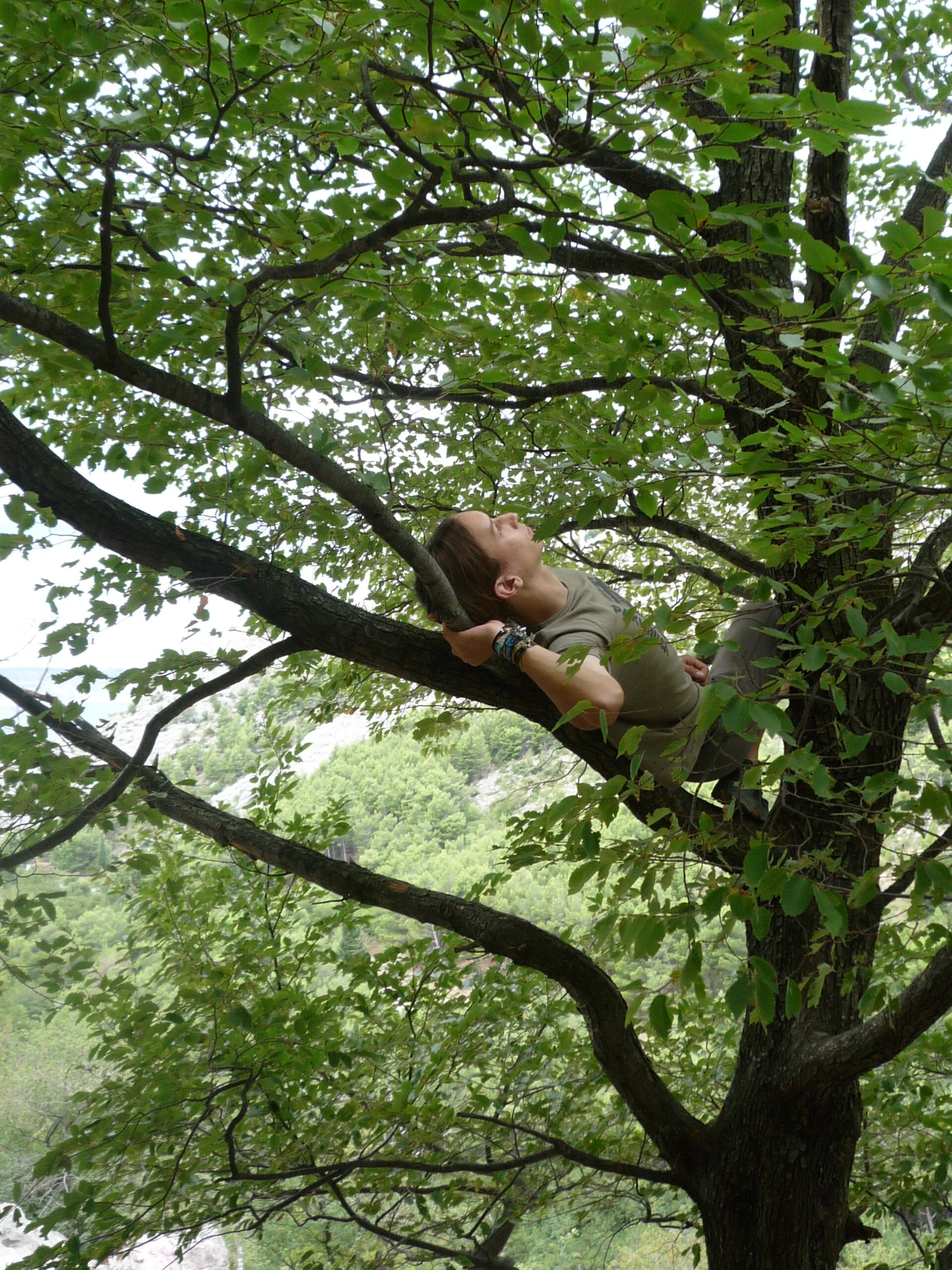 Klettern in der Paklenica in Kroatien | © Drexler Magarete