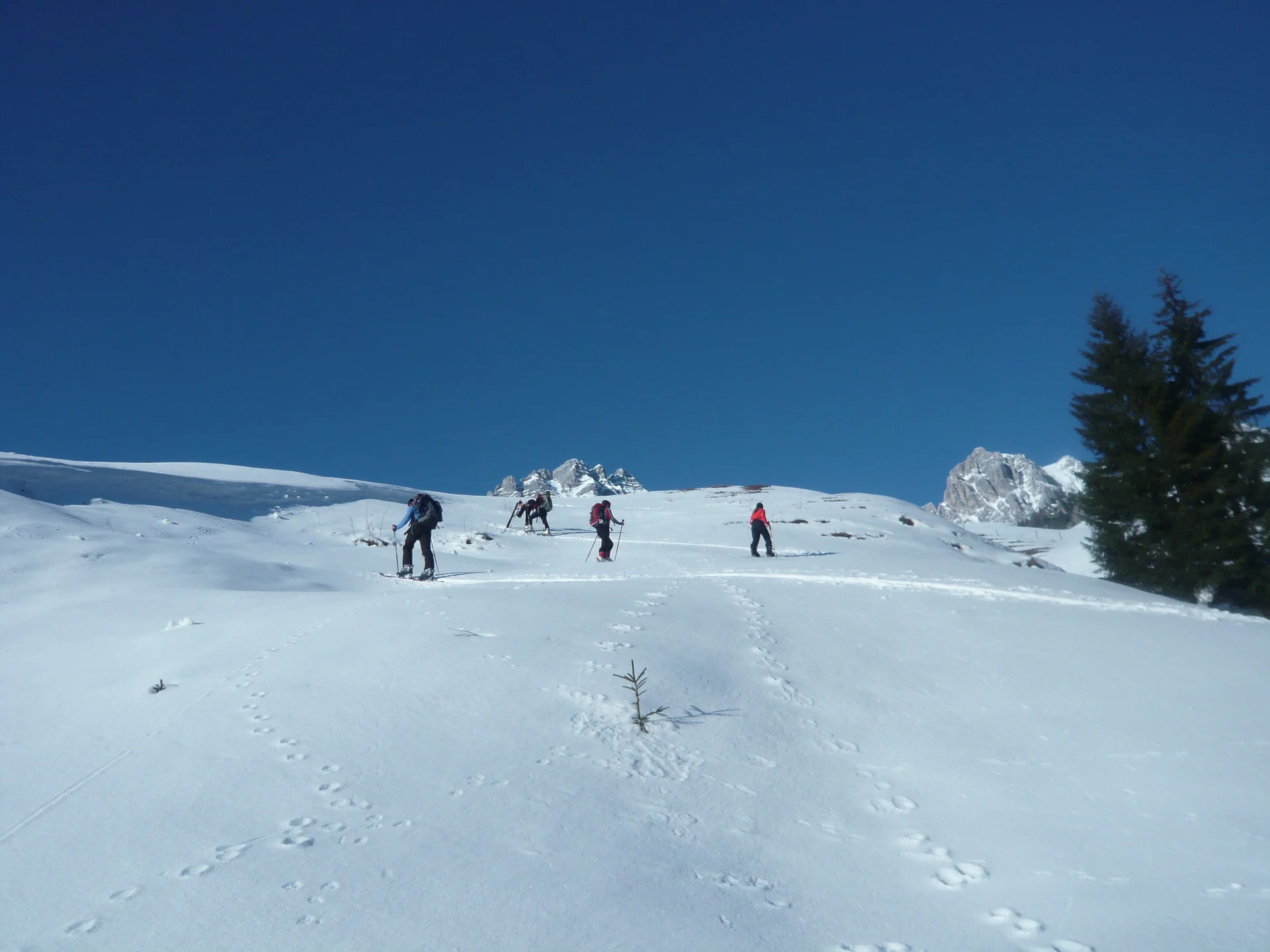 Skitourentage im Pinzgau | © Drexler Magarete