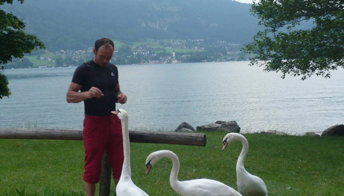 Beim Klettern am Wolfgangsee | © Drexler Magarete