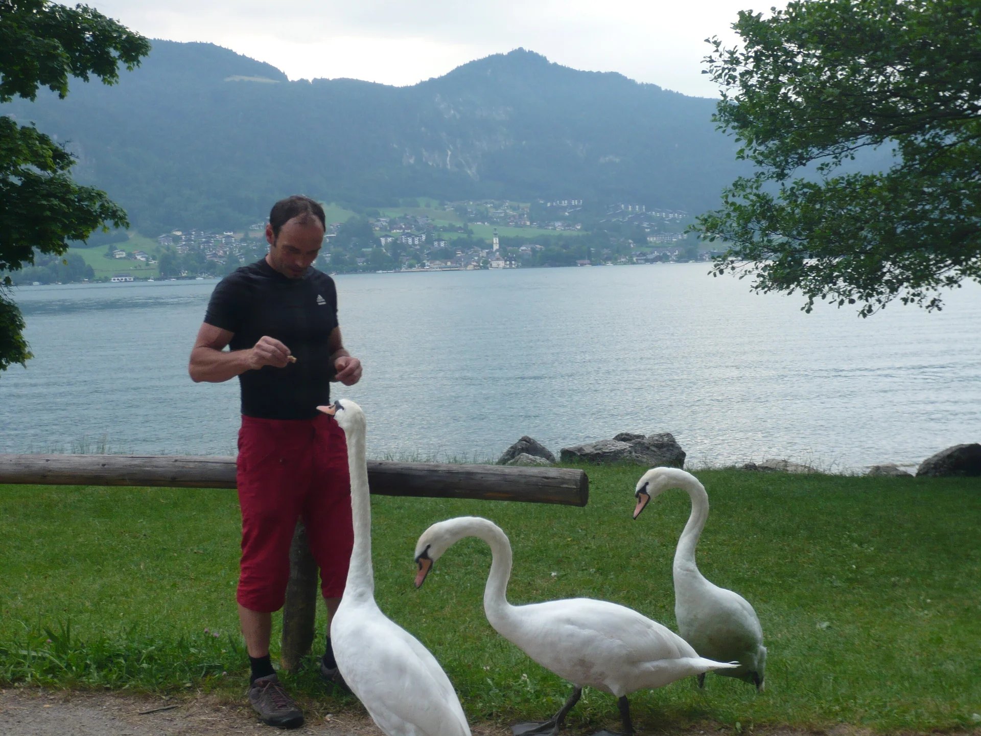 Beim Klettern am Wolfgangsee | © Drexler Magarete