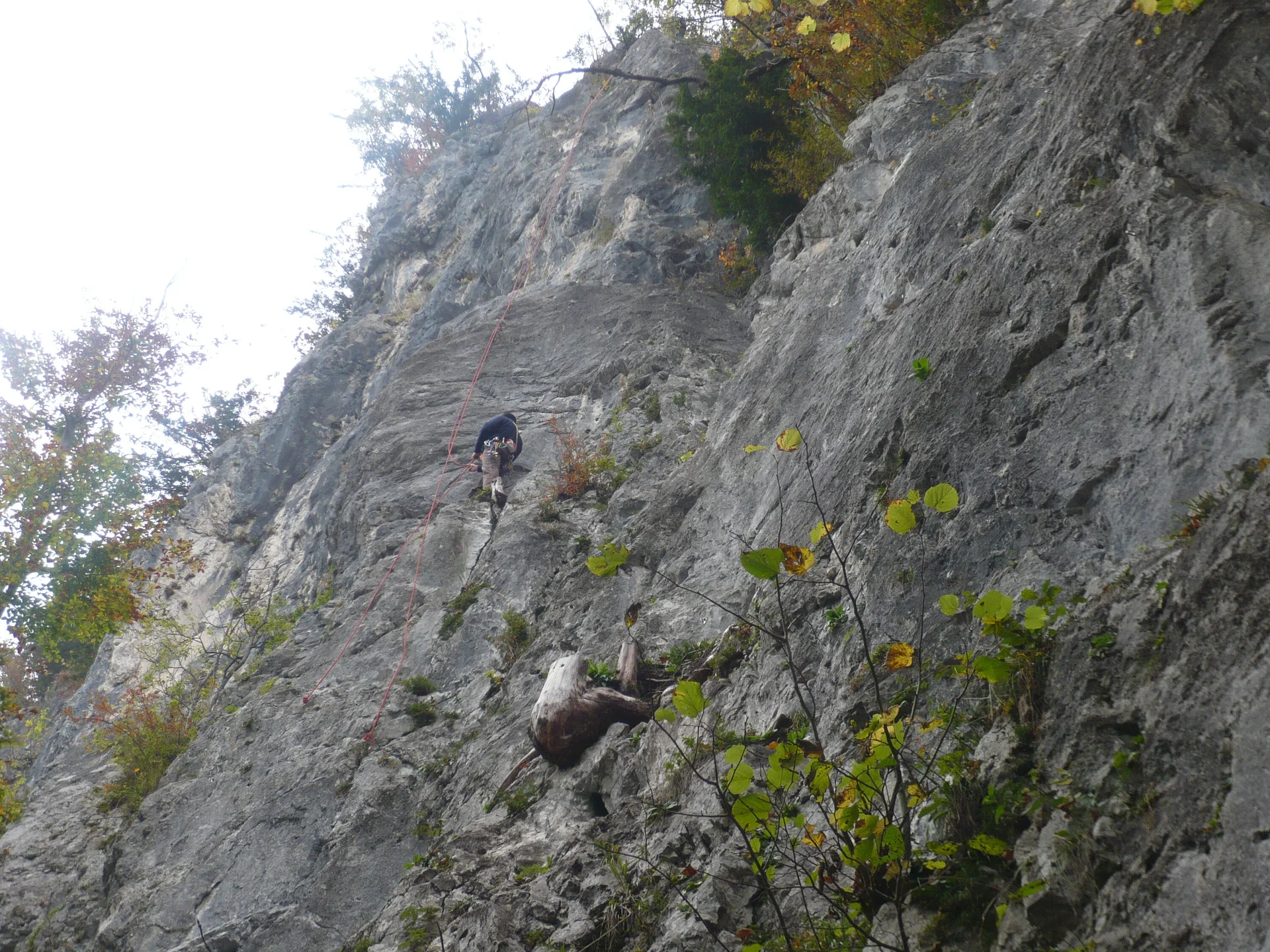 Kletterwochenende Zellerwand/Schleching und Weissbach/Lofer | © Drexler Margarete