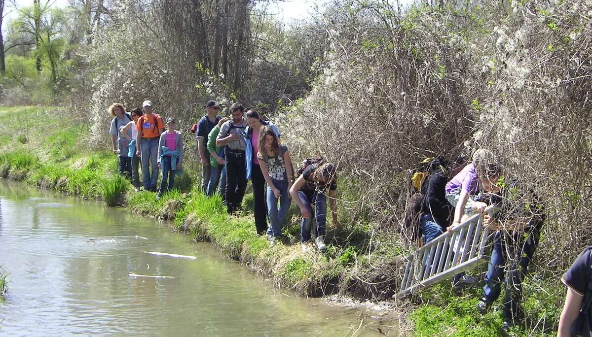 Abenteuerwanderung im Gottfriedinger Gries | © Widl Konrad