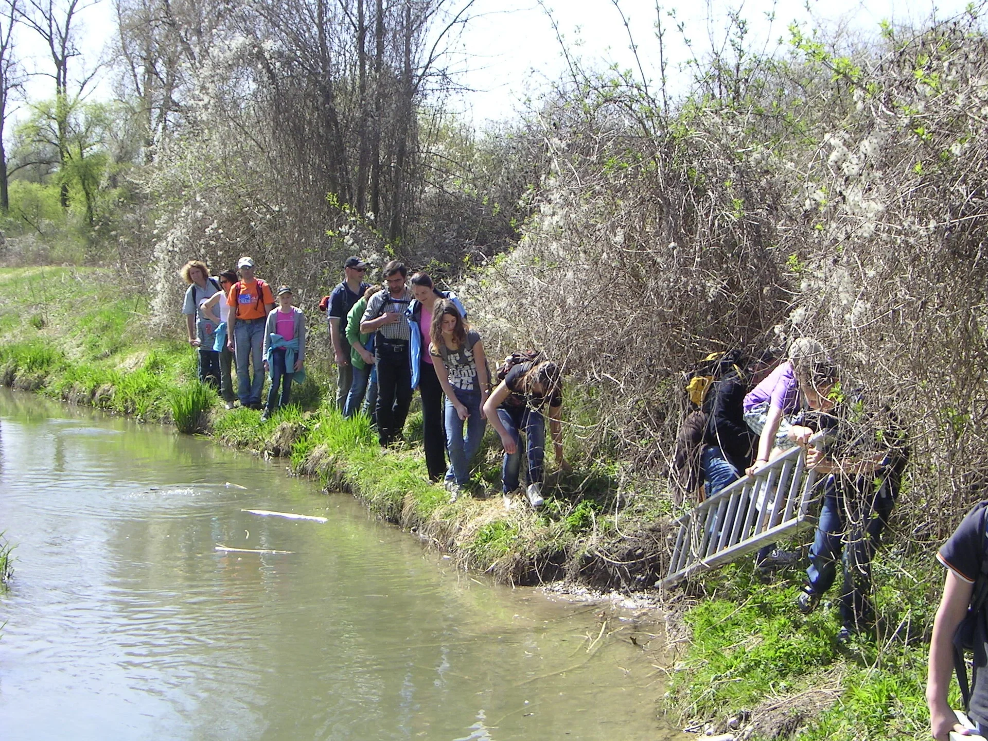 Abenteuerwanderung im Gottfriedinger Gries | © Widl Konrad