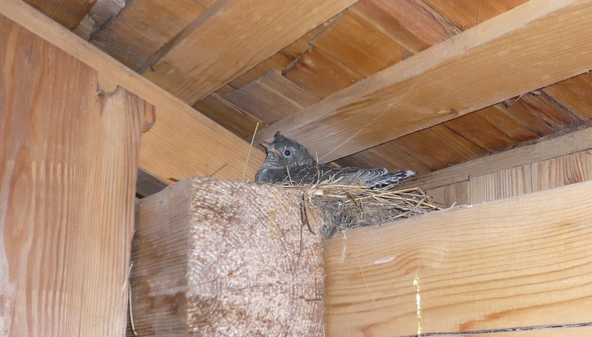 Auf dem Hochzint und beim Klettern am Katastrophenfels | © Drexler Magarete