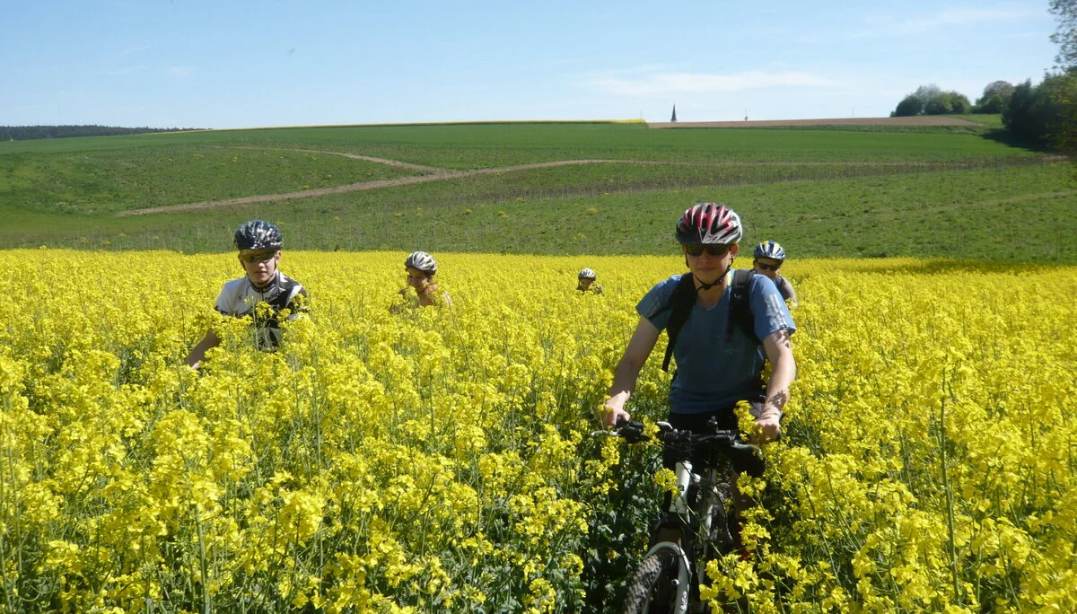 Mit dem Mountainbike unterwegs | © Drexler Margarete