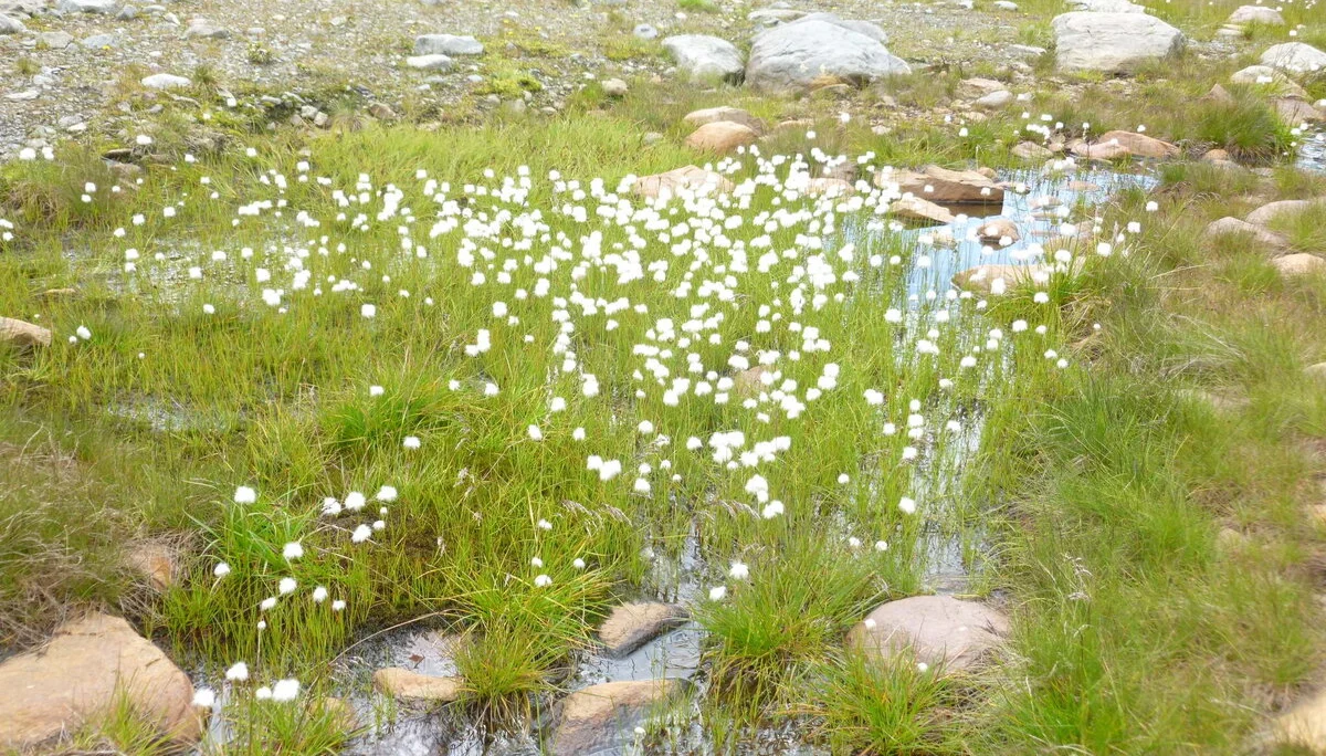 Hochtouren in den Stubaier Alpen | © Drexler Magarete