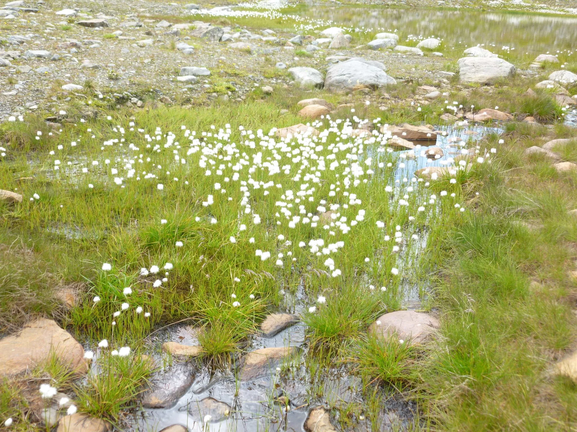 Hochtouren in den Stubaier Alpen | © Drexler Magarete