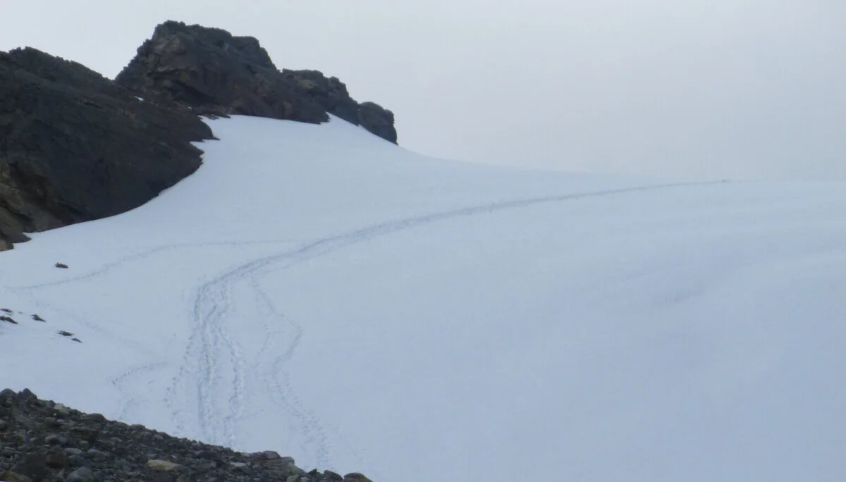 Hochtouren in den Stubaier Alpen | © Drexler Magarete