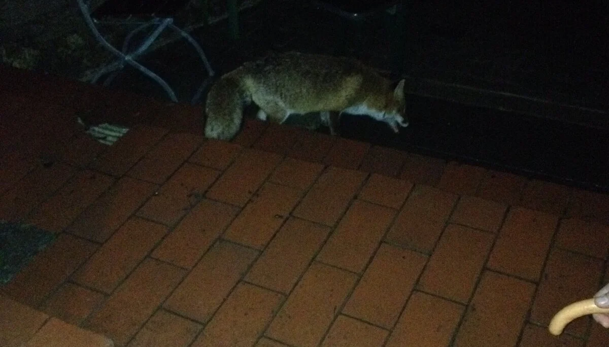 Kletterwochenende  | © Kletterwochenende 