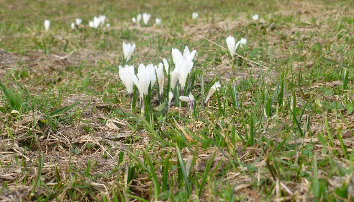 Oster-Mix | © Oster-Mix